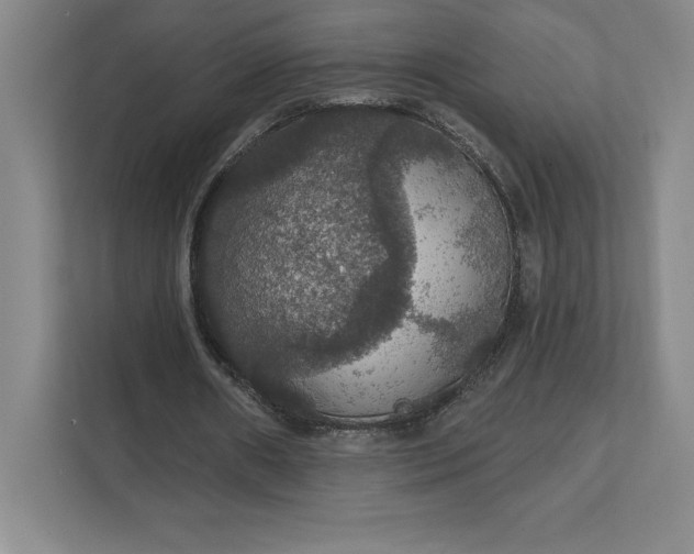 X0000111580482200907301408