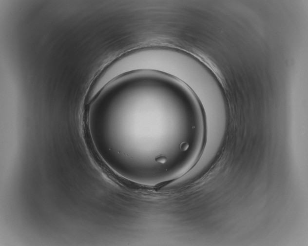 X0000111580485200907301408