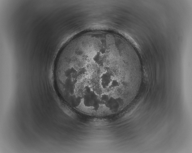 X0000111580487200907301408