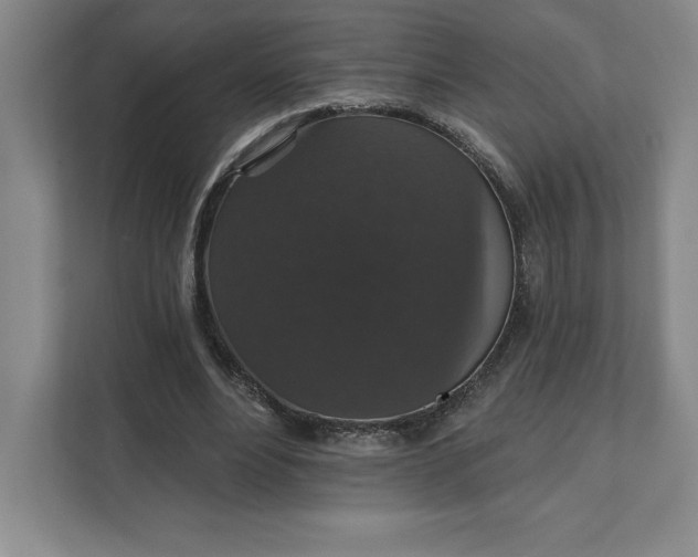 X0000111580488200907301408