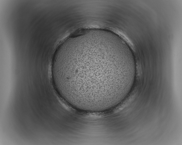 X0000111580489200907301408