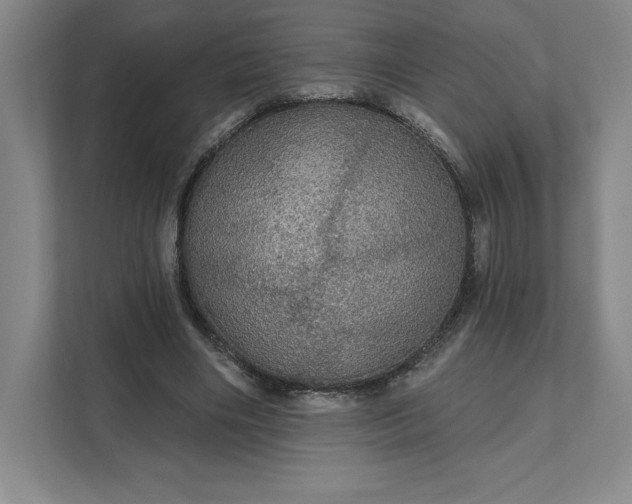 X0000111580490200907301408