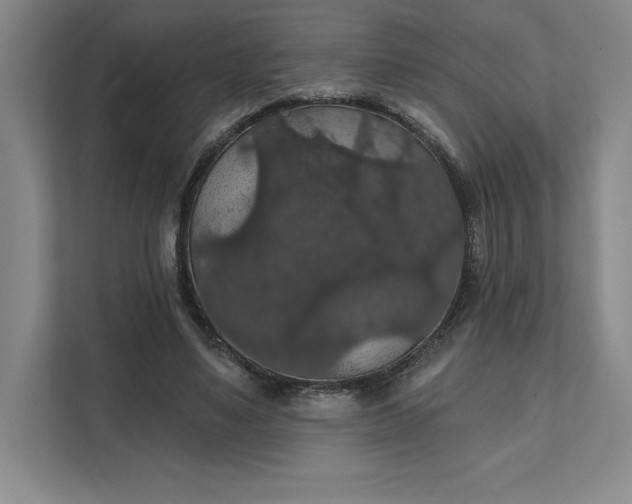 X0000111580491200907301408