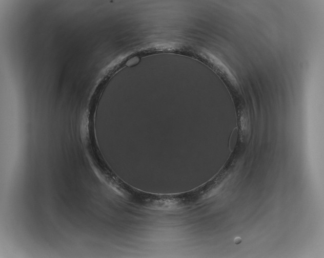 X0000111580492200907301408