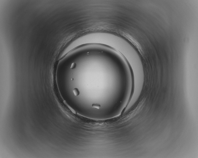 X0000111580493200907301408