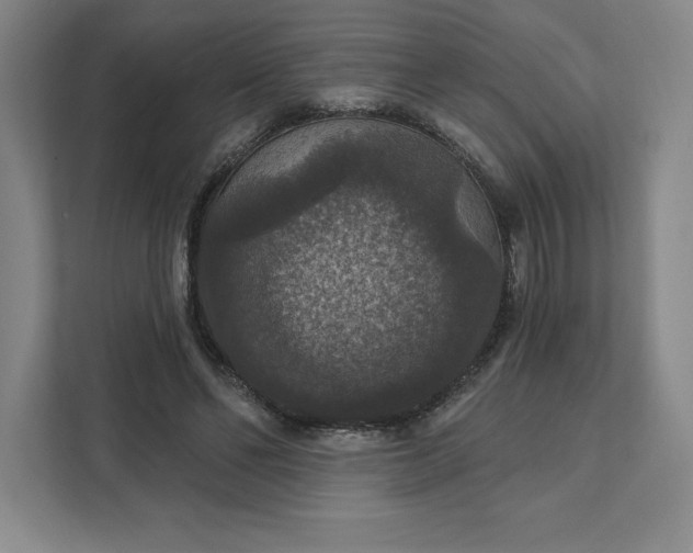 X0000111580494200907301408