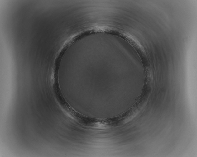 X0000111580496200907301408