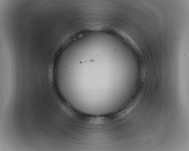 X0000111580497200907301408