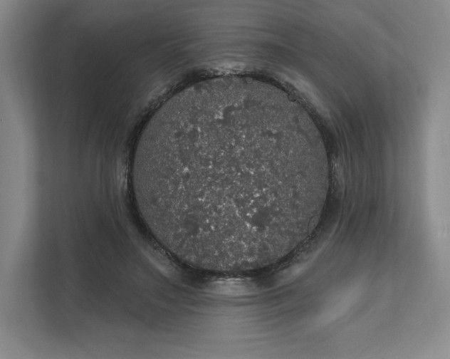 X0000111580499200907301408