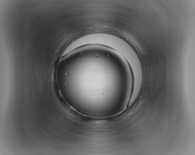 X0000111580501200907301408