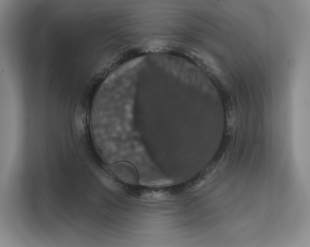 X0000111580503200907301408