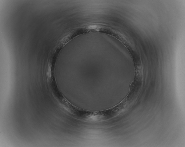 X0000111580504200907301408