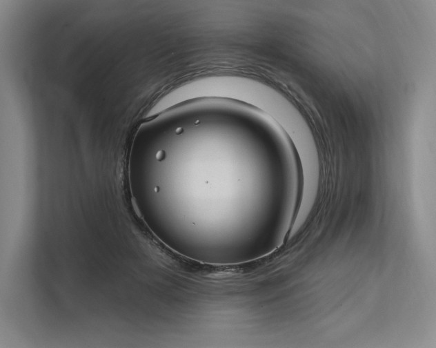 X0000111580505200907301408