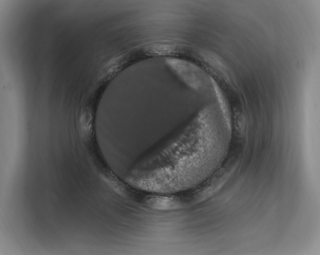 X0000111580507200907301408