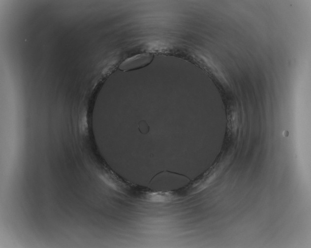 X0000111580508200907301408