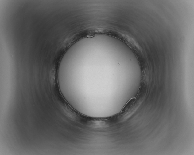 X0000111580509200907301408