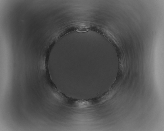 X0000111580512200907301408