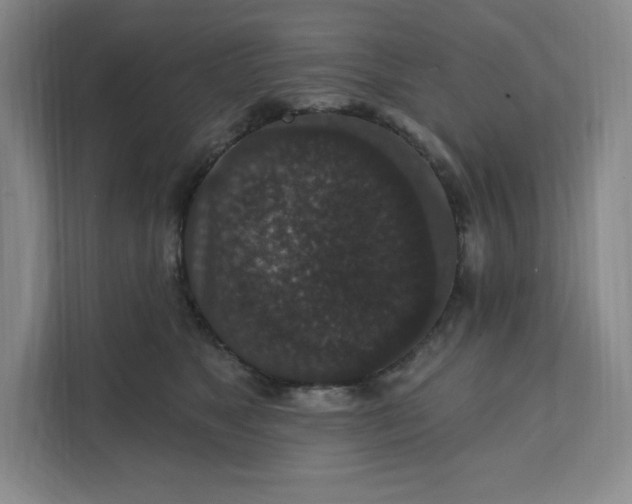 X0000111580517200907301408