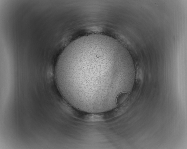 X0000111580518200907301408