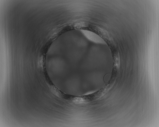 X0000111580519200907301408