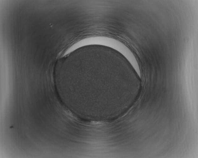 X0000111580520200907301408