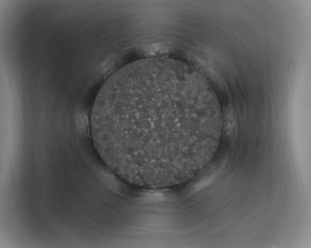 X0000111580523200907301408