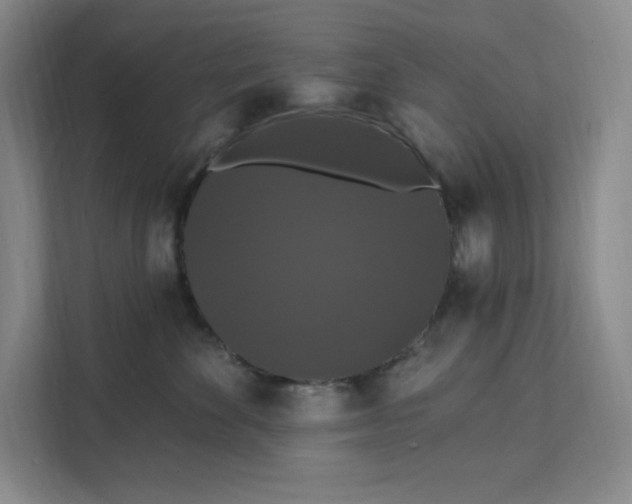 X0000111580524200907301408