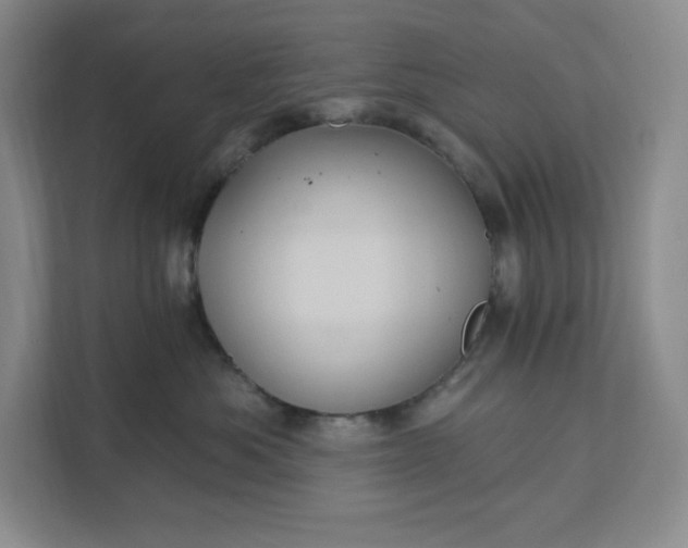 X0000111580525200907301408