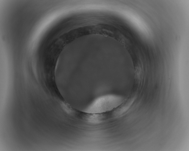 X0000111580527200907301408