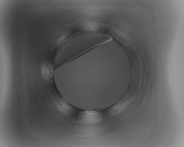 X0000111580528200907301408