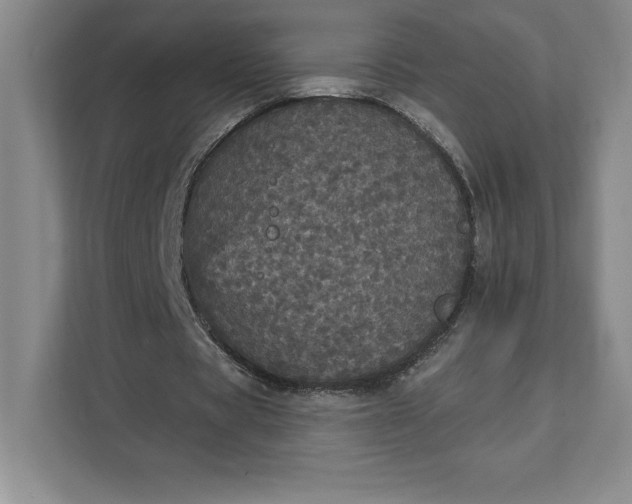 X0000111580529200907301407