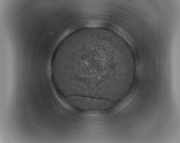 X0000111580530200907301407