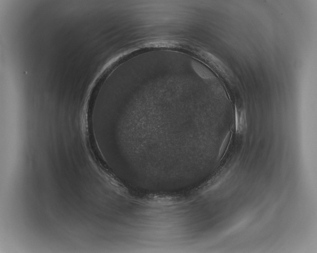 X0000111580531200907301407