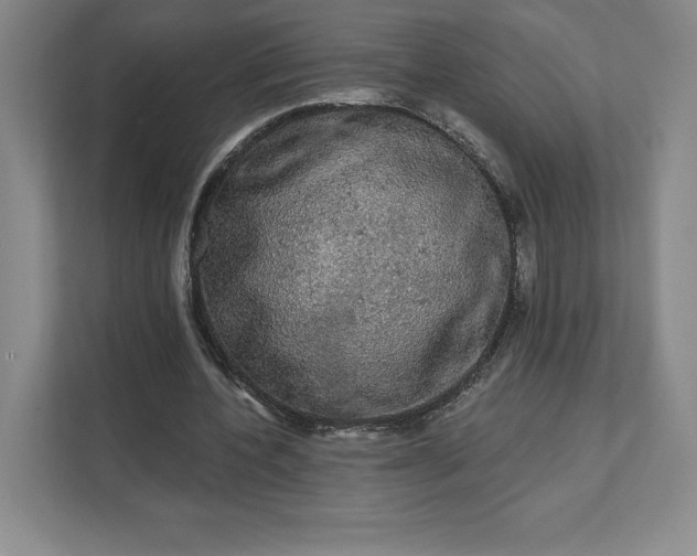 X0000111580532200907301407