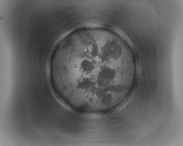 X0000111580533200907301407