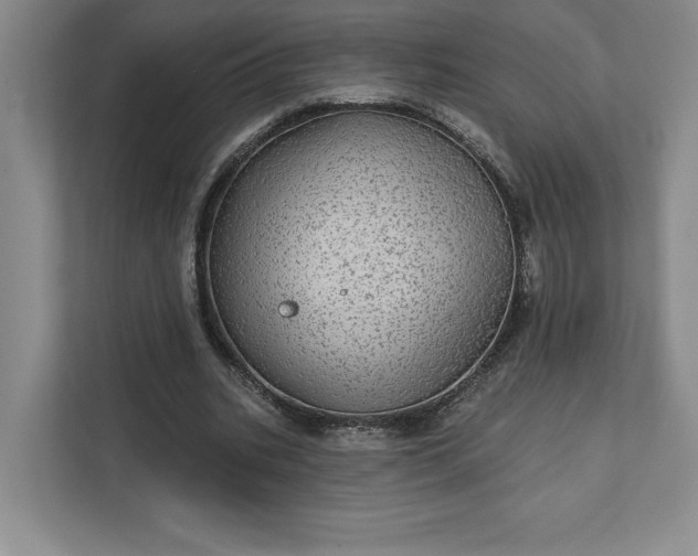 X0000111580535200907301407