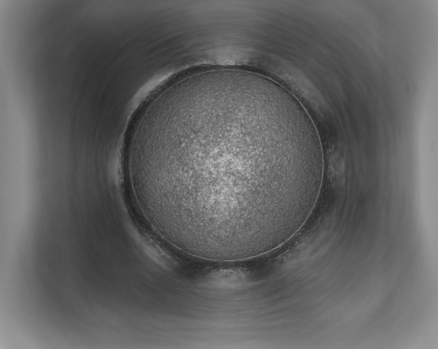 X0000111580536200907301407