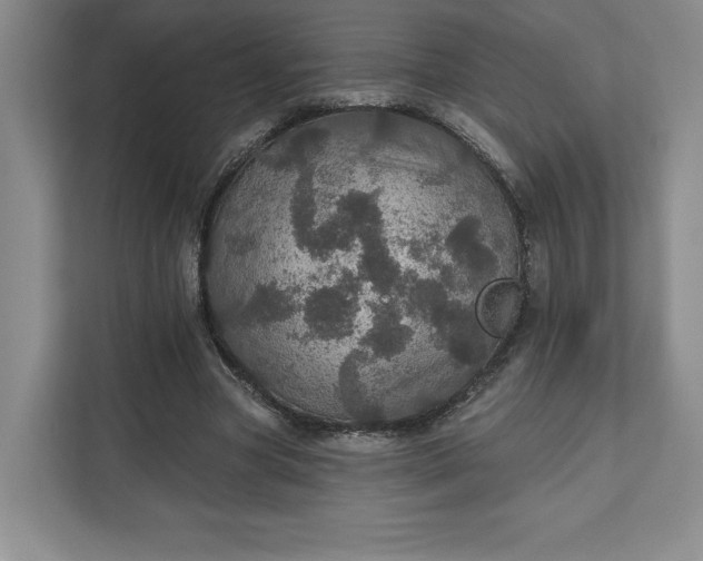 X0000111580537200907301407