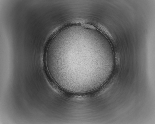 X0000111580538200907301407