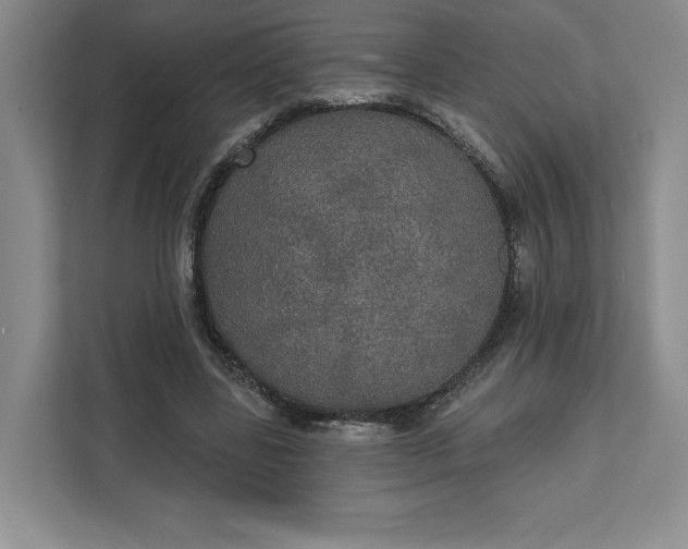 X0000111580539200907301407