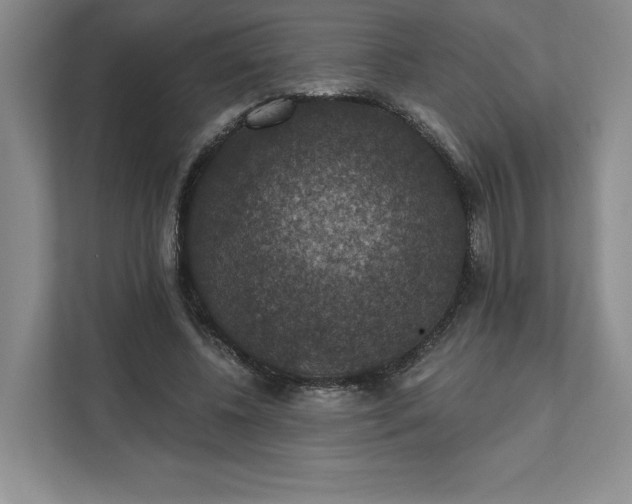 X0000111580540200907301407