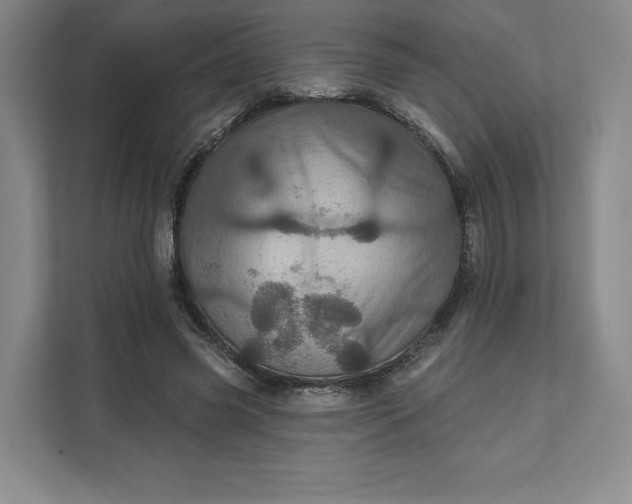 X0000111580541200907301407