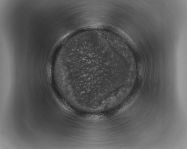 X0000111580542200907301407