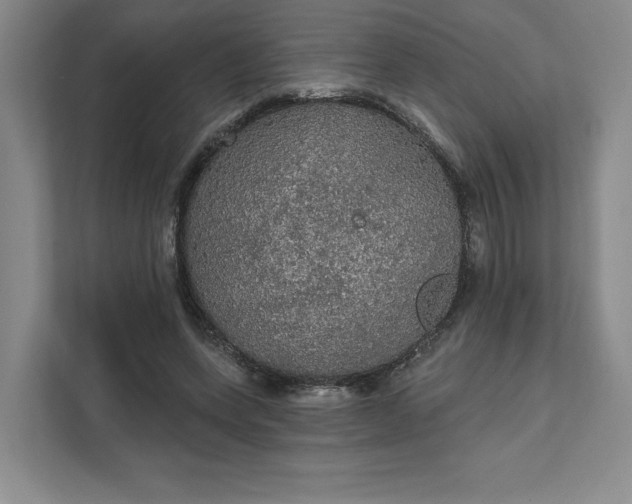 X0000111580543200907301407