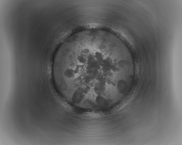 X0000111580545200907301407