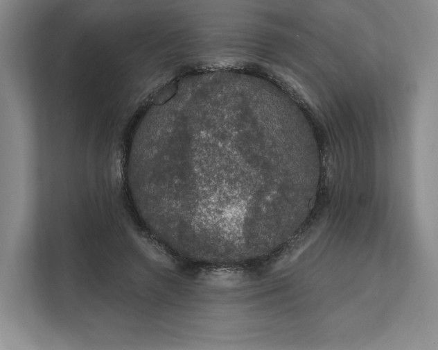 X0000111580546200907301407