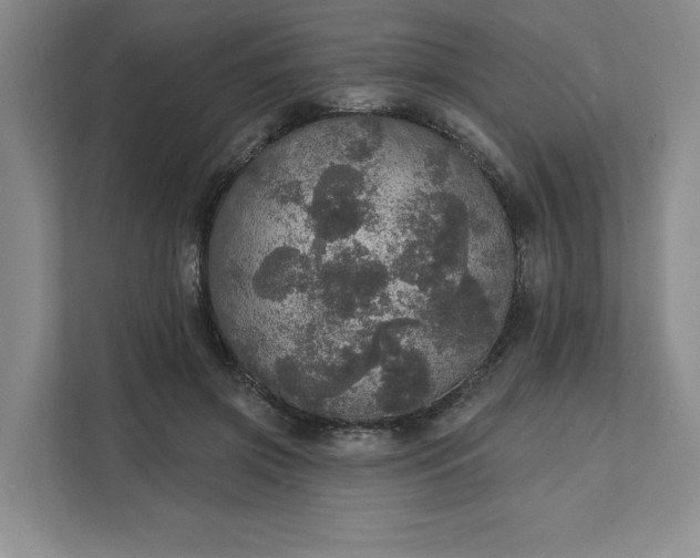 X0000111580549200907301407