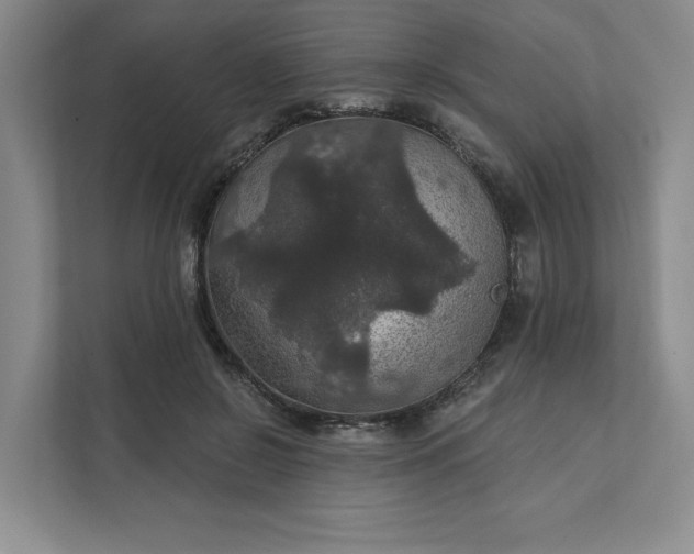 X0000111580550200907301407