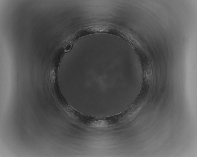 X0000111580551200907301407