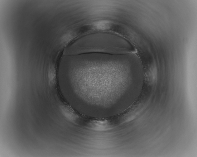 X0000111580552200907301407